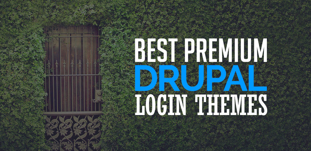 Premium Drupal Login Themes
